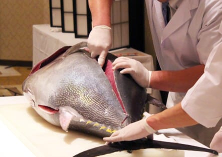 マグロ解体ショー